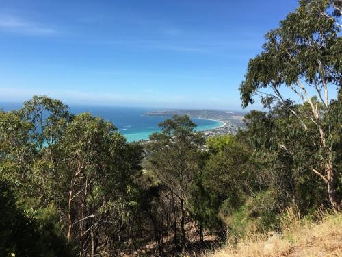 Mornington-Murrays-Lookout-2